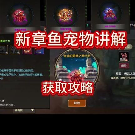 dnf宠物可以交易吗